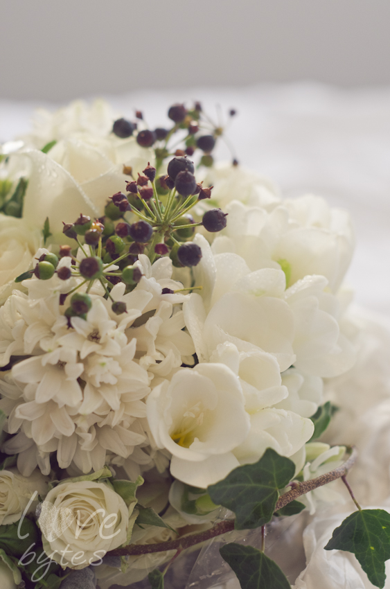 LoveBytes_120401_LOVE4237