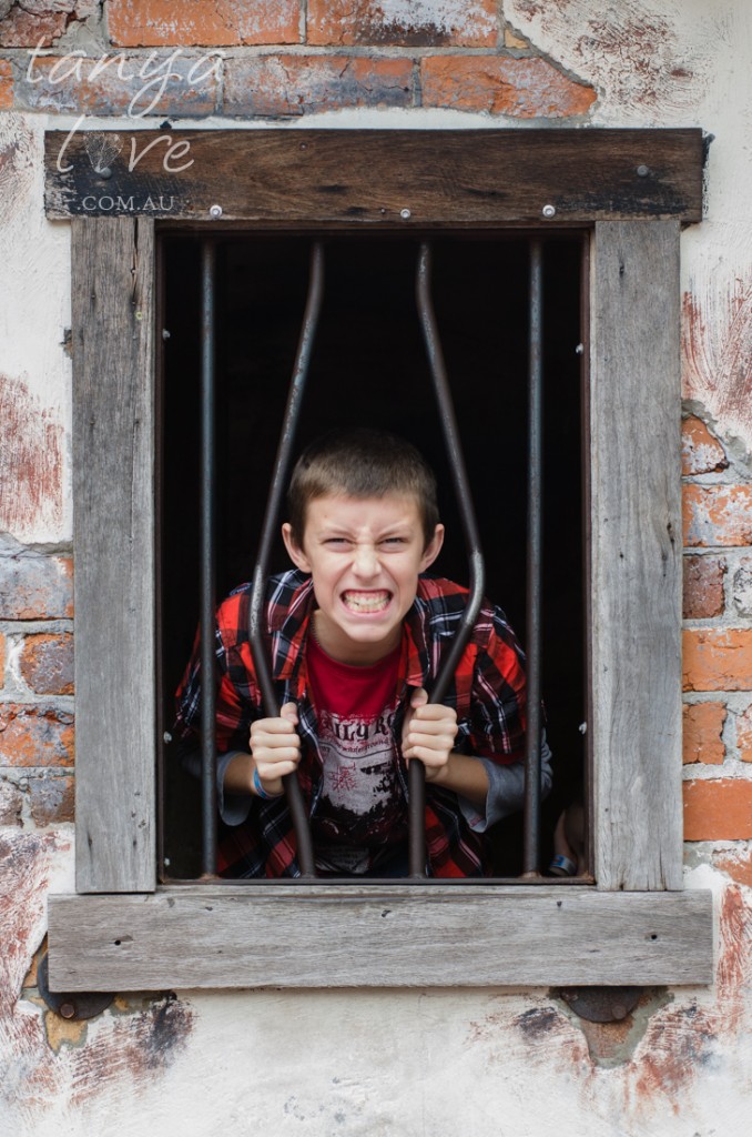 Dreamworld family fun