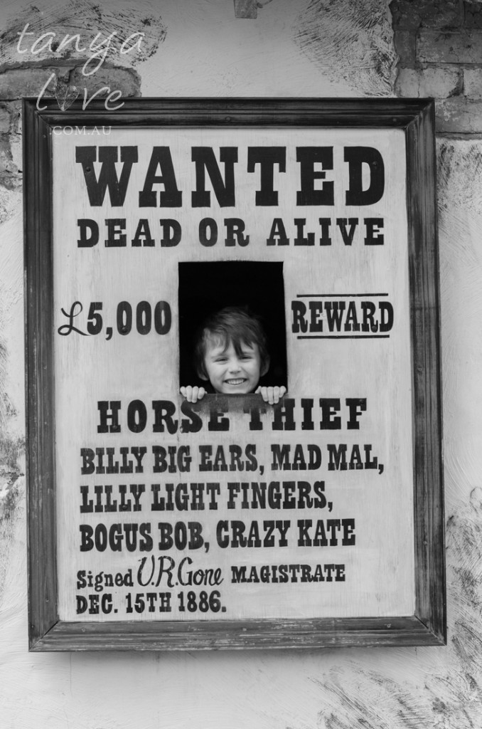 Dreamworld family fun