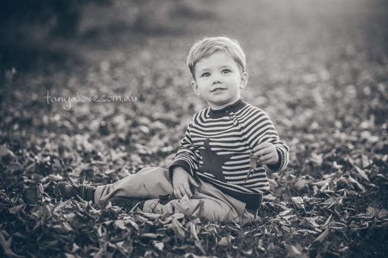 Autumn Leaf Sessions